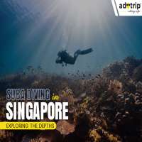 Scuba Diving in Singapore (Master-Image)